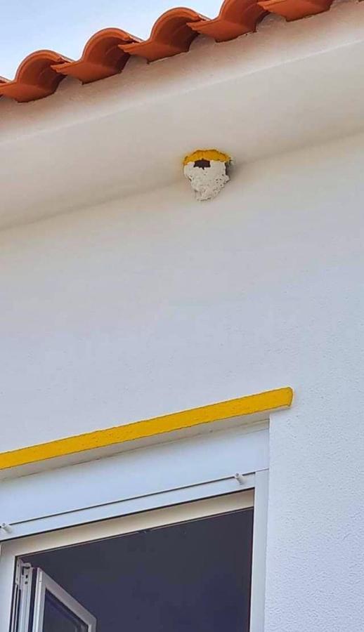 Casa Do Ninho - Entre O Campo E A Praia Cadaval Eksteriør bilde